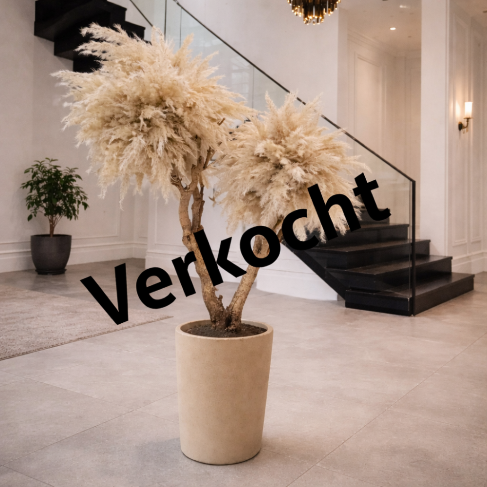 Pampas Tree Art #2 (Exclusief vaas)